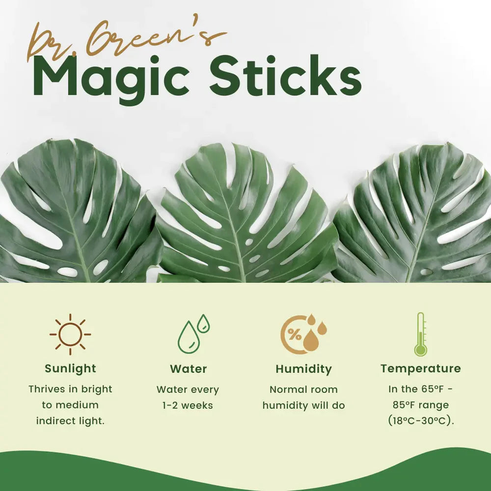 Dr.Green's - Magic Plant Sticks (Buy 25 Get 25 Free)