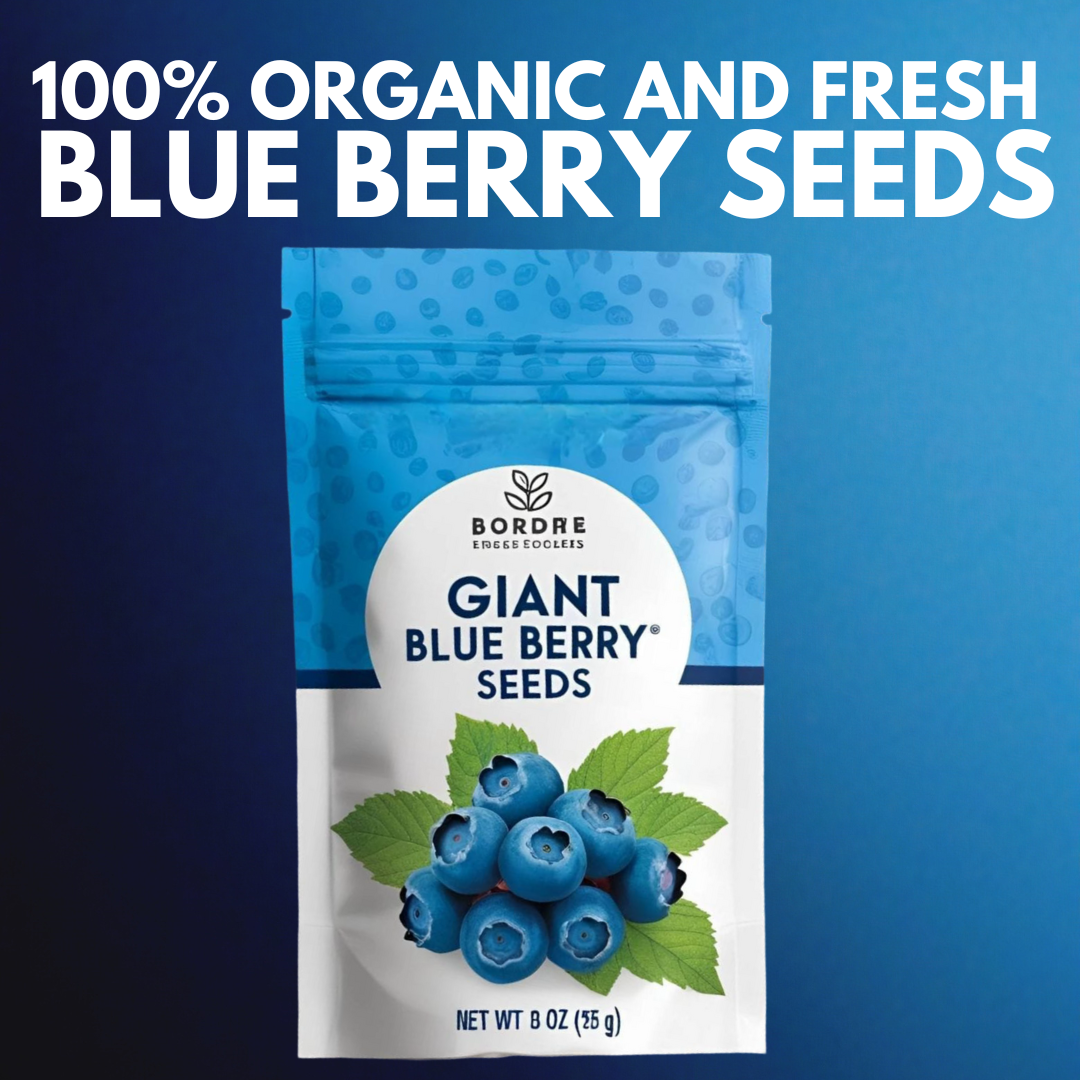 Giant Blueberry Fruit Seeds