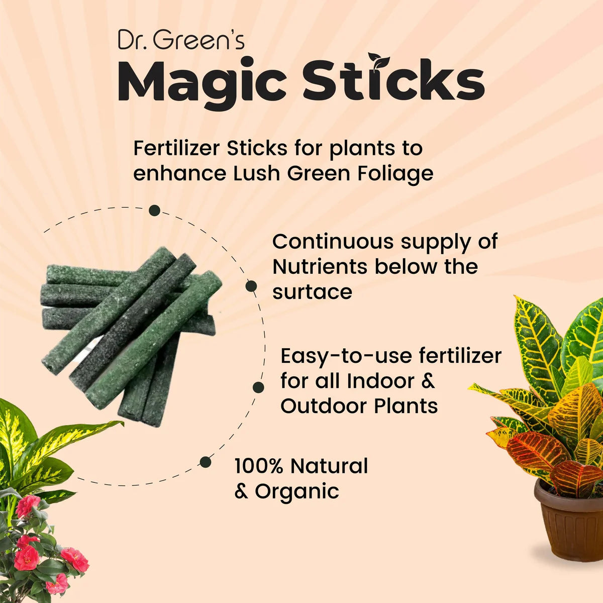 Dr.Green's - Magic Plant Sticks (Buy 25 Get 25 Free)