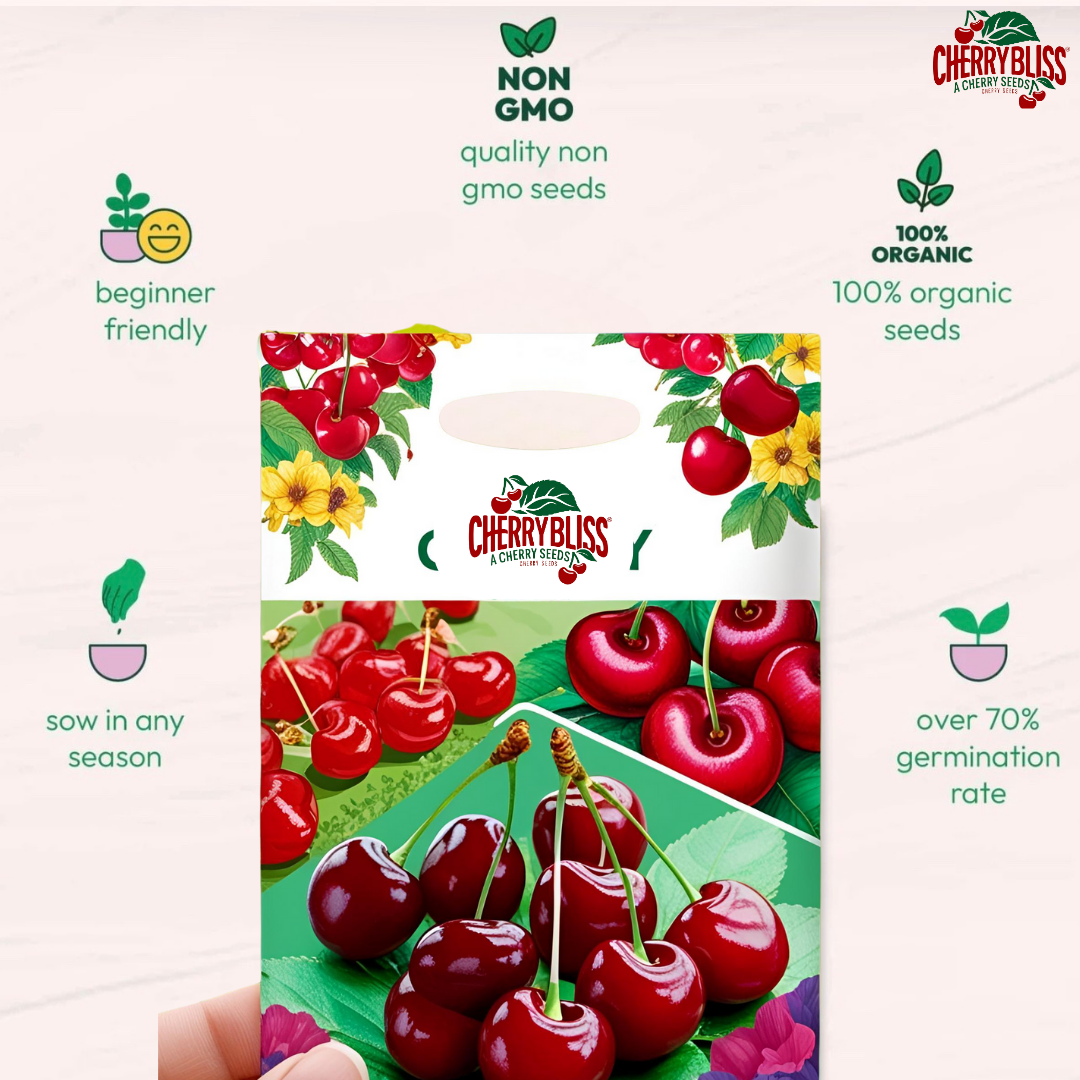 CherryBliss™ - Organic Cherry Fruit Seeds | 🍒Flat 50% Off