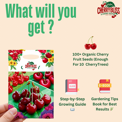 CherryBliss™ - Organic Cherry Fruit Seeds | 🍒Flat 50% Off