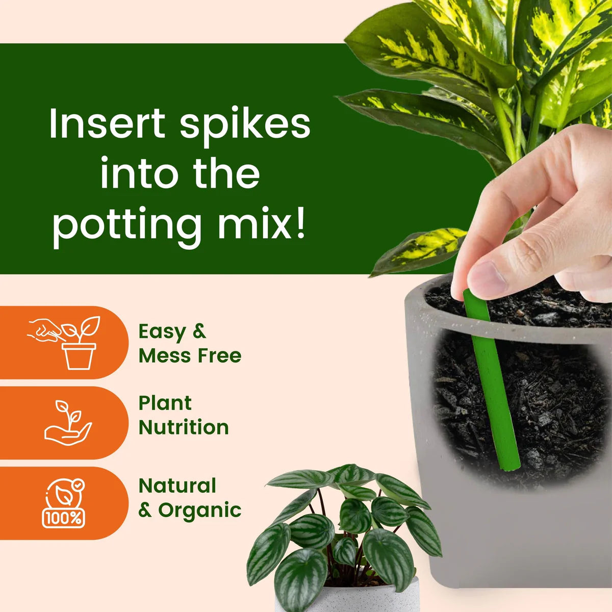 Dr.Green's - Magic Plant Sticks (Buy 25 Get 25 Free)