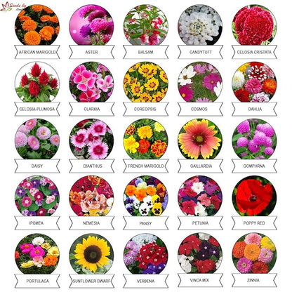 Varieties of Flower Seeds (Pack of 100) And Get Plant Growth Supplement Free